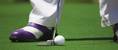 Show light - Attribut alt par défaut - Barnes Hossegor
