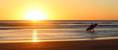 Show light - Attribut alt par défaut - Barnes Hossegor
